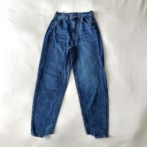 American Eagle | Strigid Mom Jean